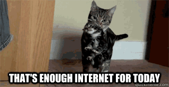 cat-enough-internet